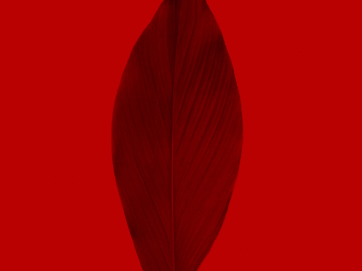 Breaking The Silence